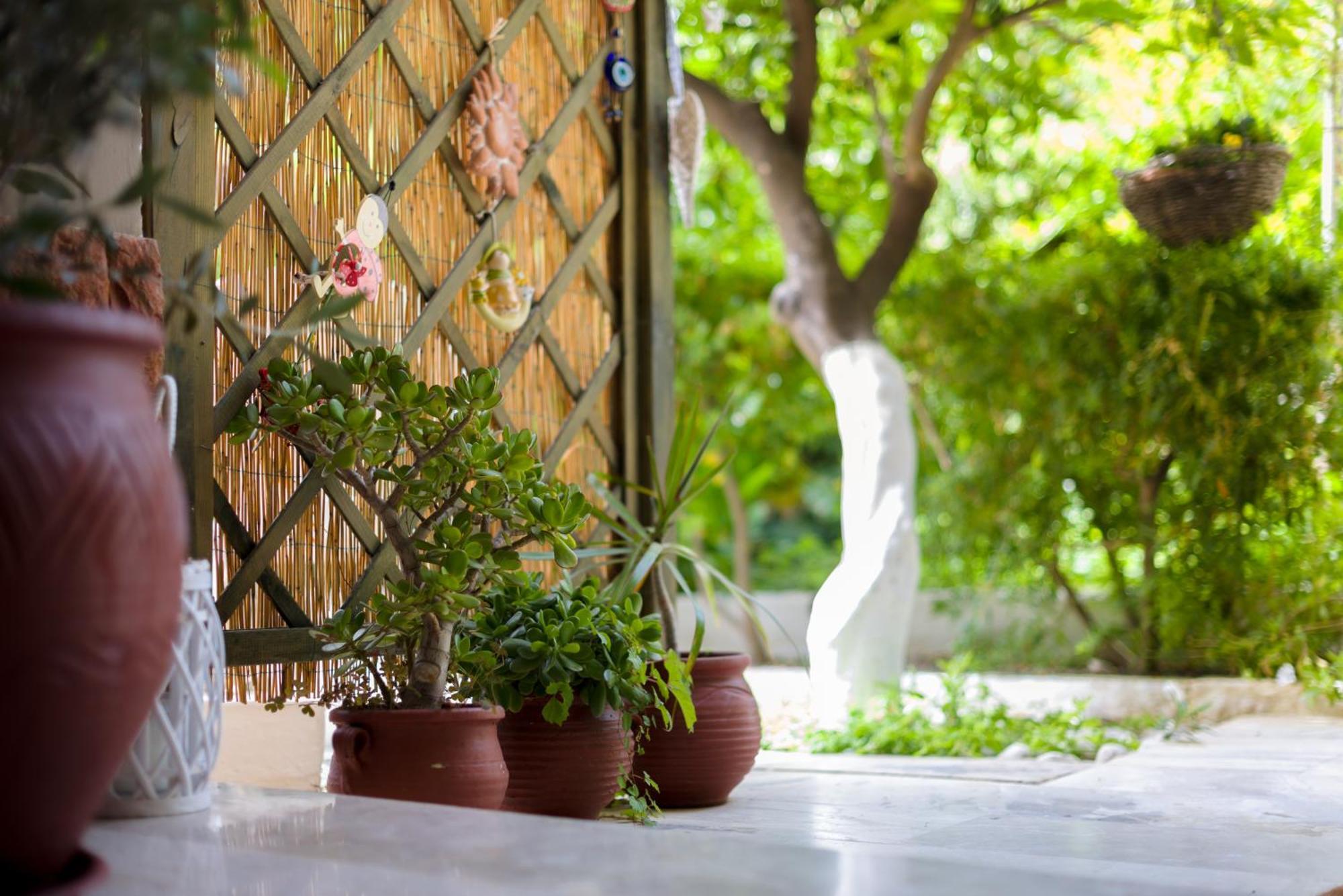 Oasis Home Tolo Bagian luar foto