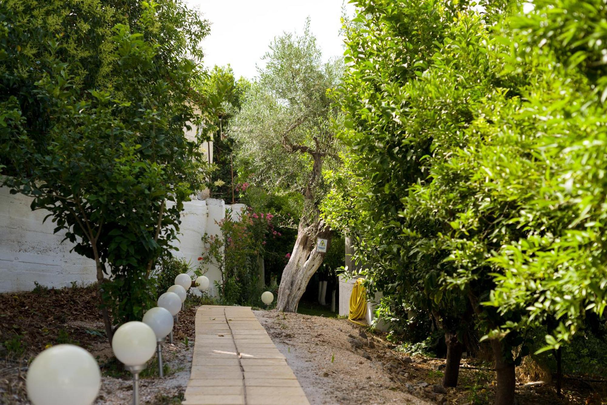 Oasis Home Tolo Bagian luar foto